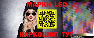 крисы Малгобек