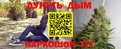 крисы Малгобек