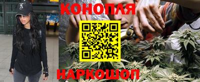 крисы Малгобек