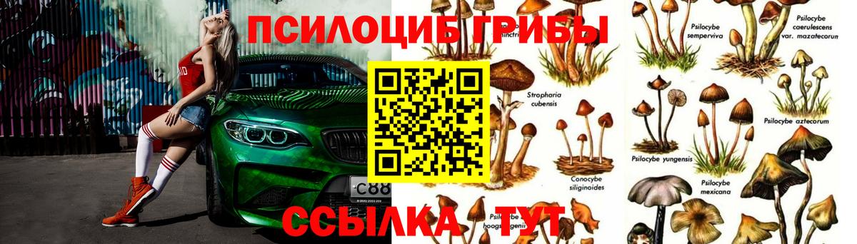 Псилоцибиновые грибы Cubensis  Вход с VPN  Урус-Мартан 